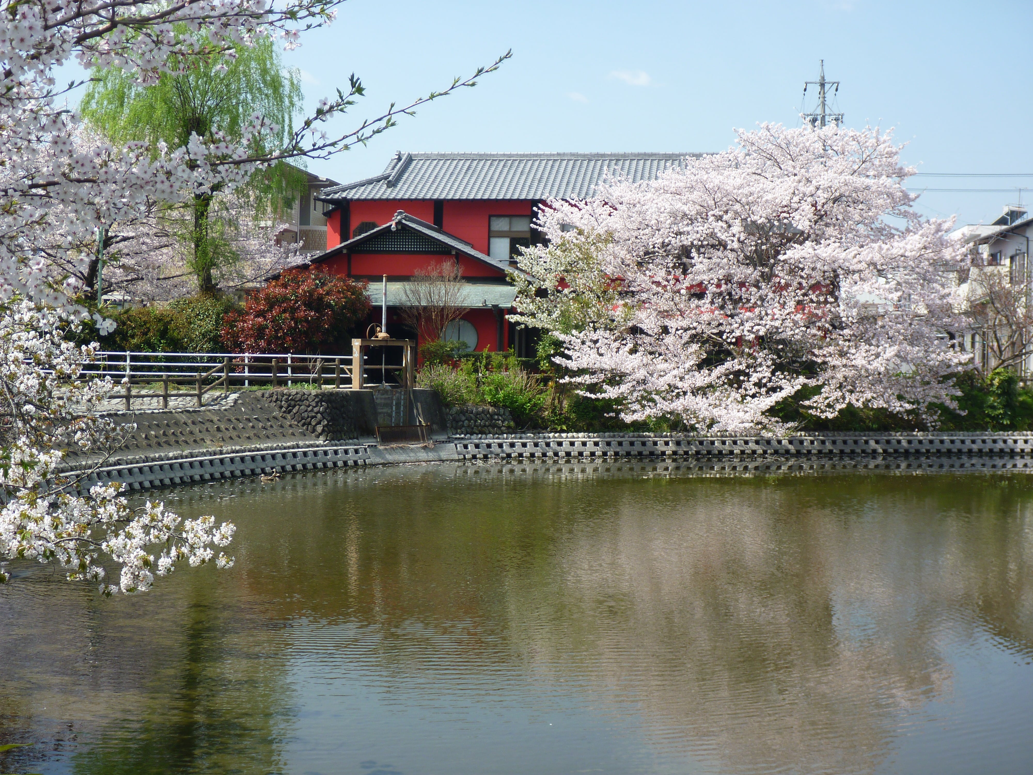 うなぎ京家>