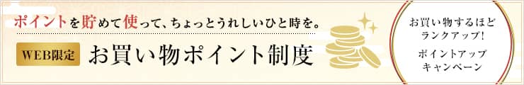 WEB限定 お買い物ポイント制度