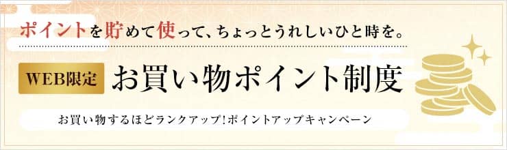 WEB限定 お買い物ポイント制度